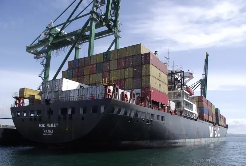 MSC HAILEY Container Ship IMO 8818180 photo 4