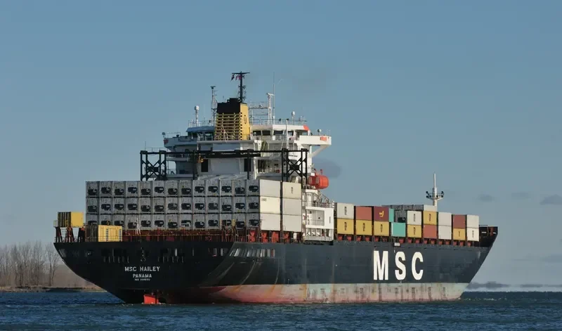 MSC HAILEY Container Ship IMO 8818180 photo 5