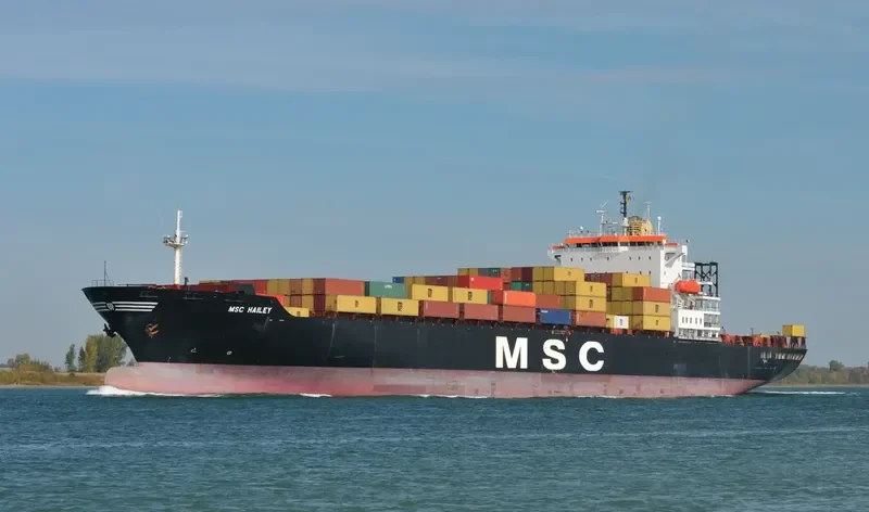 MSC HAILEY Container Ship IMO 8818180 photo 8