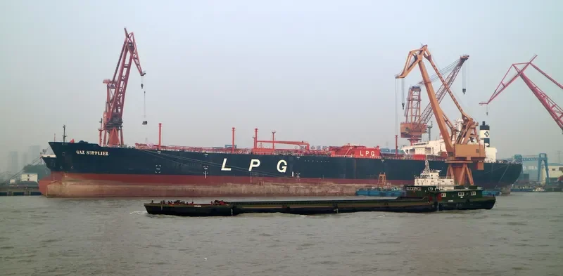 GAS GEMINI General Cargo IMO 8818219 photo 2