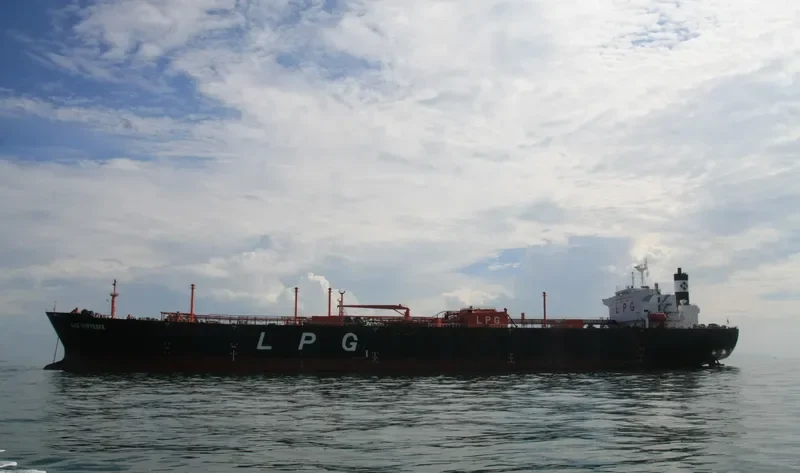 GAS GEMINI General Cargo IMO 8818219 photo 4