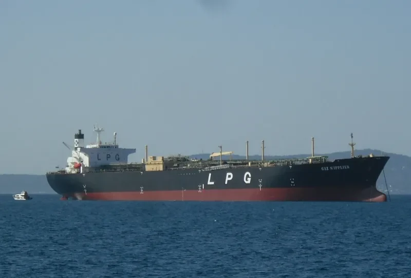 GAS GEMINI General Cargo IMO 8818219 photo 6