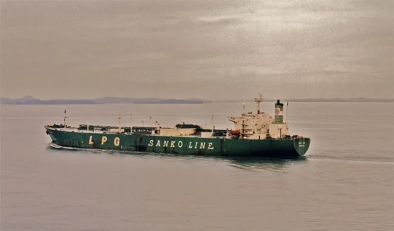 GAS GEMINI General Cargo IMO 8818219 photo 8
