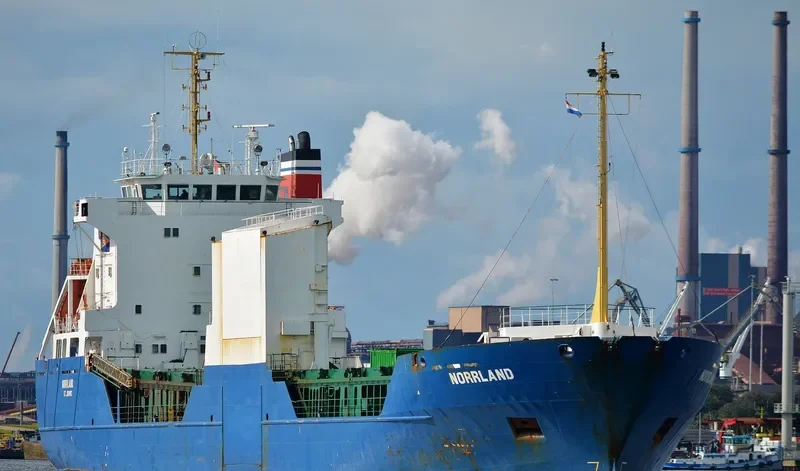 ADIMI Ro-Ro IMO 8818764