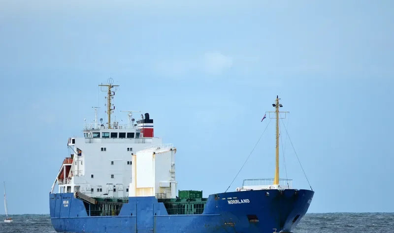 ADIMI Ro-Ro IMO 8818764 photo 2