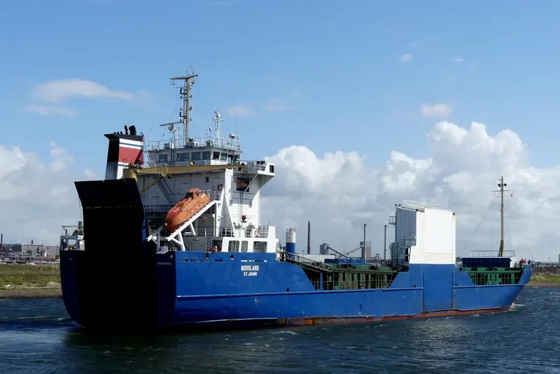 ADIMI Ro-Ro IMO 8818764 photo 6