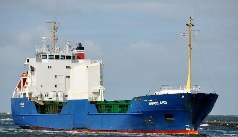 ADIMI Ro-Ro IMO 8818764 photo 8