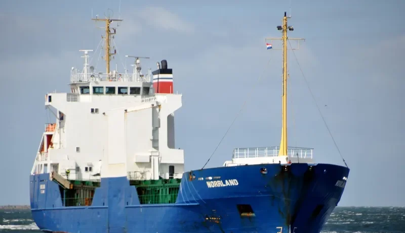 ADIMI Ro-Ro IMO 8818764 photo 10