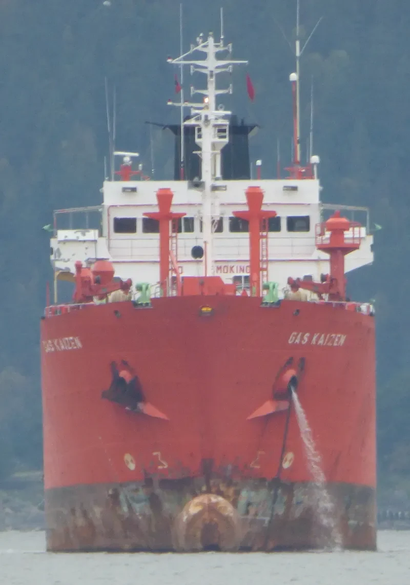 GAS KAIZEN General Cargo IMO 8818817 photo 4