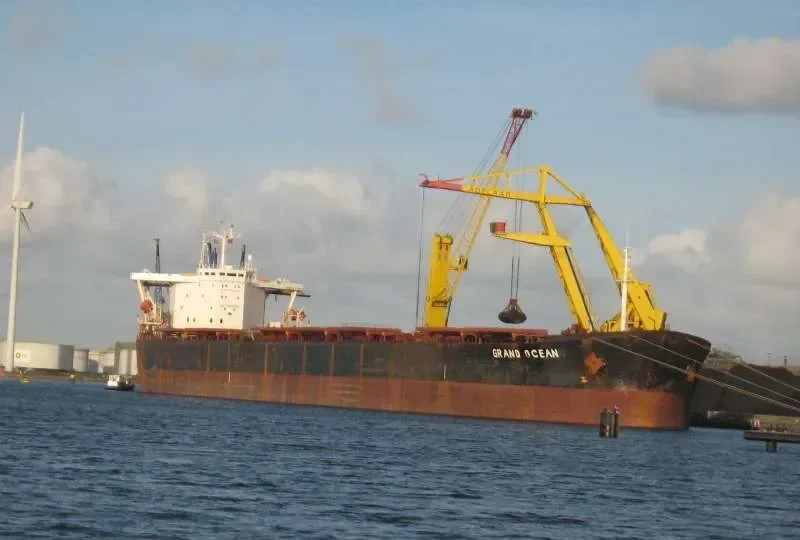 SUNNY SAILOR Bulk Carrier IMO 8818867