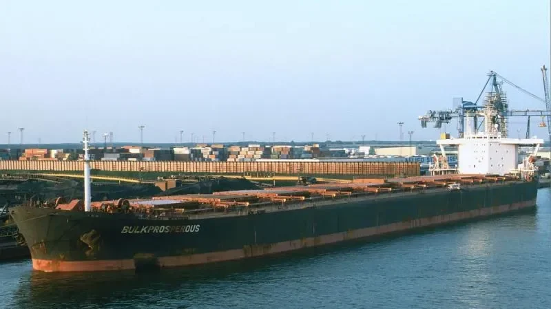 SUNNY SAILOR Bulk Carrier IMO 8818867 photo 2