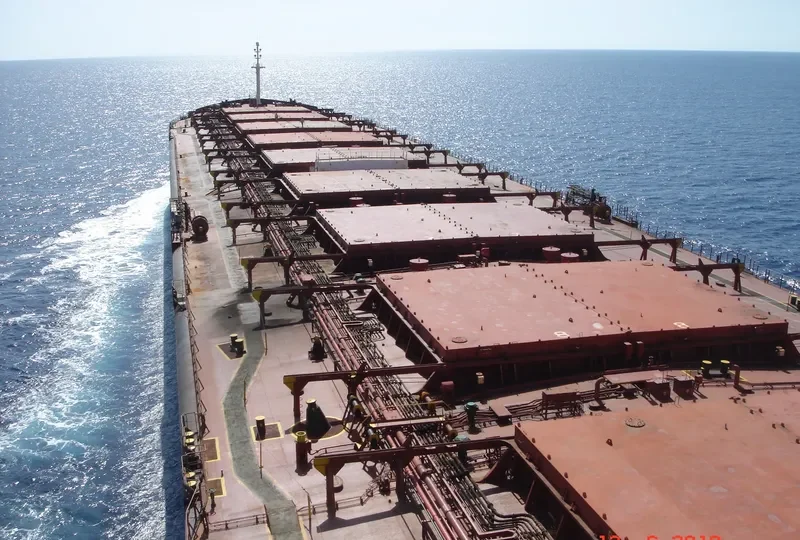 SUNNY SAILOR Bulk Carrier IMO 8818867 photo 3