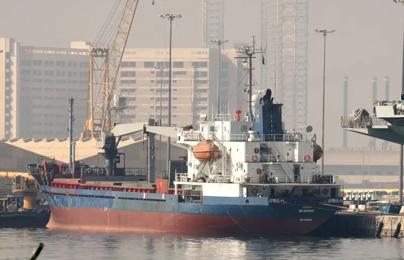 AMINA H General Cargo IMO 8818893