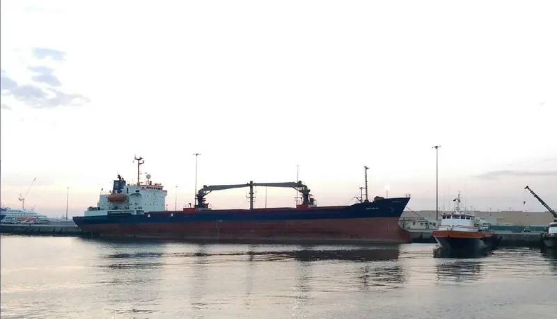AMINA H General Cargo IMO 8818893 photo 2