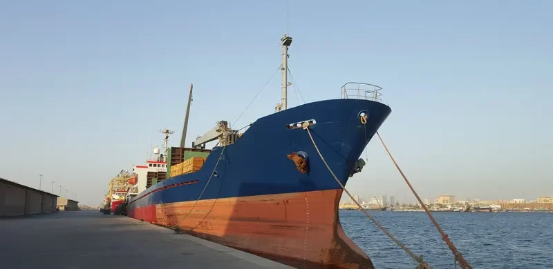 AMINA H General Cargo IMO 8818893 photo 4