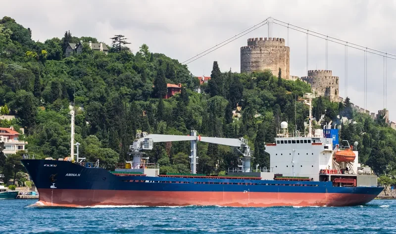 AMINA H General Cargo IMO 8818893 photo 6