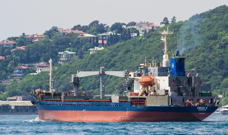 AMINA H General Cargo IMO 8818893 photo 7