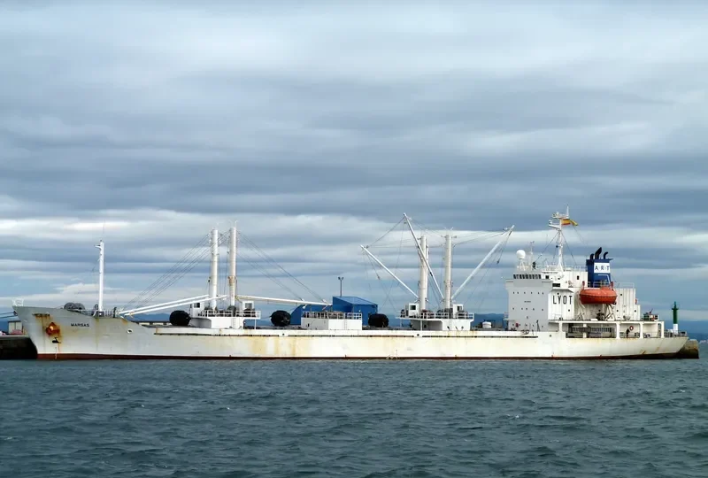 AMINA H General Cargo IMO 8818893 photo 8