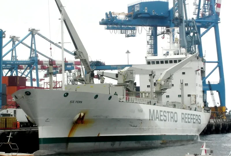 ICE FERN General Cargo IMO 8818972