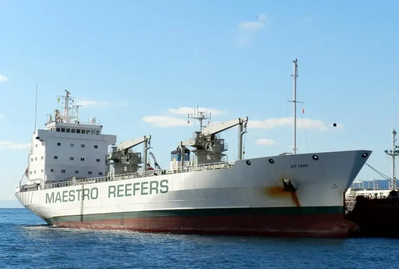 ICE FERN General Cargo IMO 8818972 photo 2
