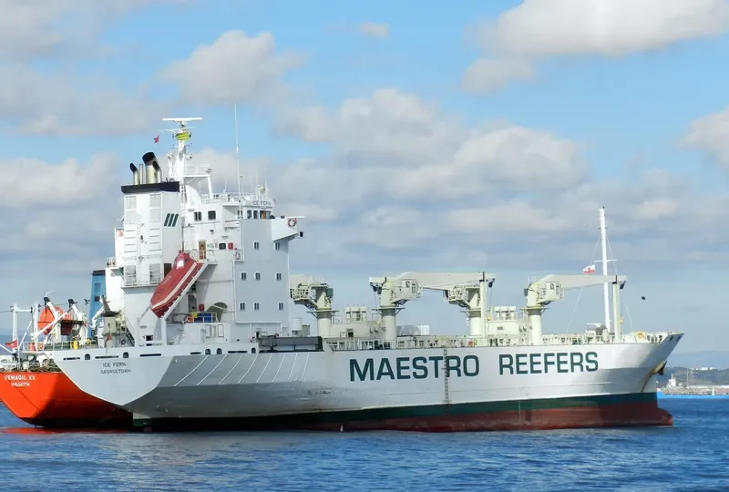 ICE FERN General Cargo IMO 8818972 photo 3