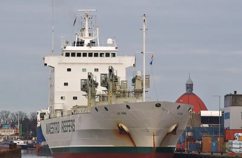 ICE FERN General Cargo IMO 8818972 photo 4