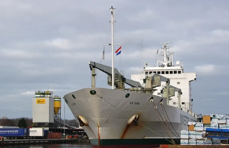 ICE FERN General Cargo IMO 8818972 photo 5