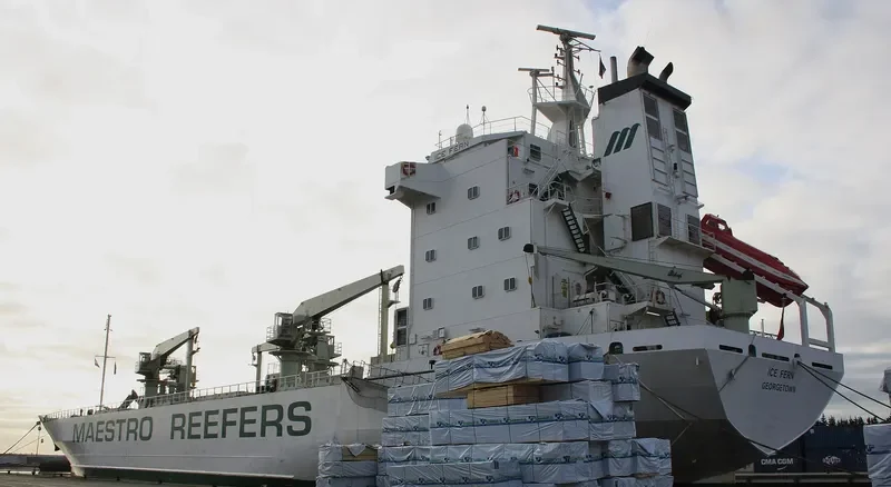 ICE FERN General Cargo IMO 8818972 photo 6