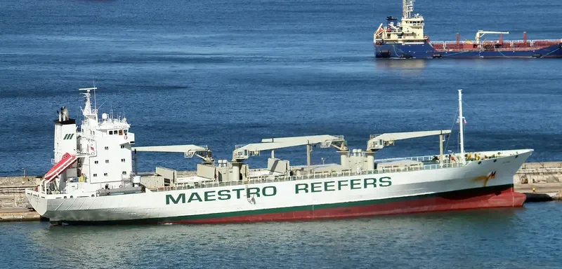 ICE FERN General Cargo IMO 8818972 photo 7