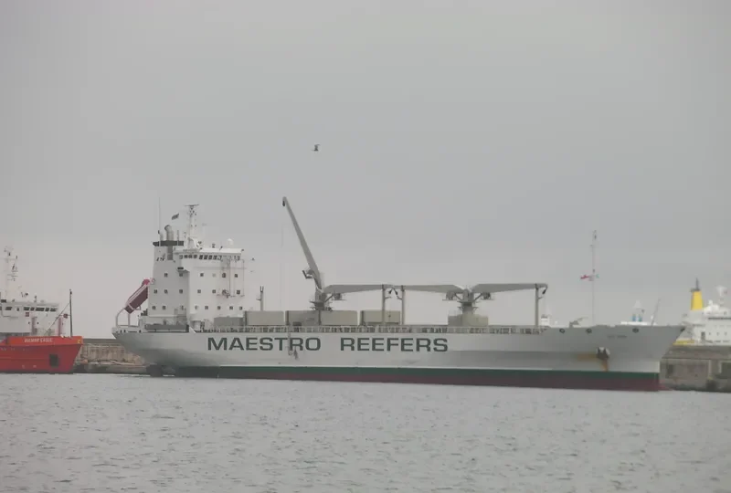 ICE FERN General Cargo IMO 8818972 photo 8