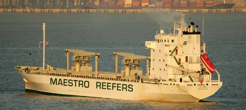 ICE FERN General Cargo IMO 8818972 photo 9