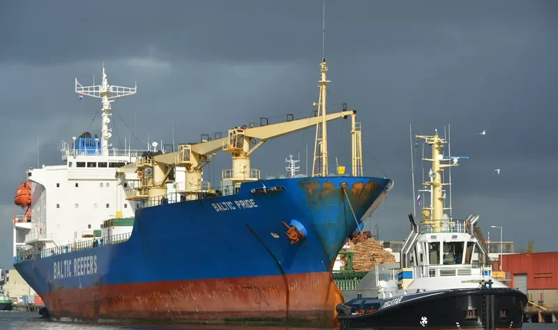 BALTIC PRIDE General Cargo IMO 8819213 photo 7