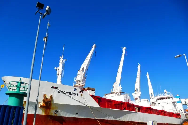 AURORA General Cargo IMO 8819275 photo 10