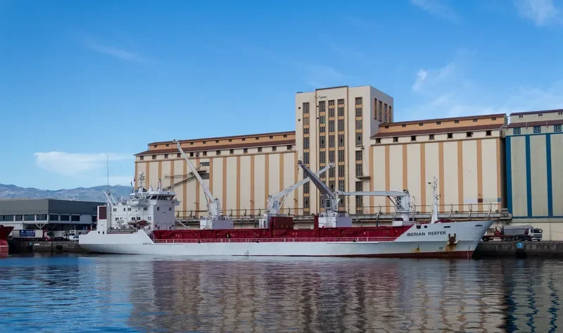 ALAID General Cargo IMO 8819287 photo 2