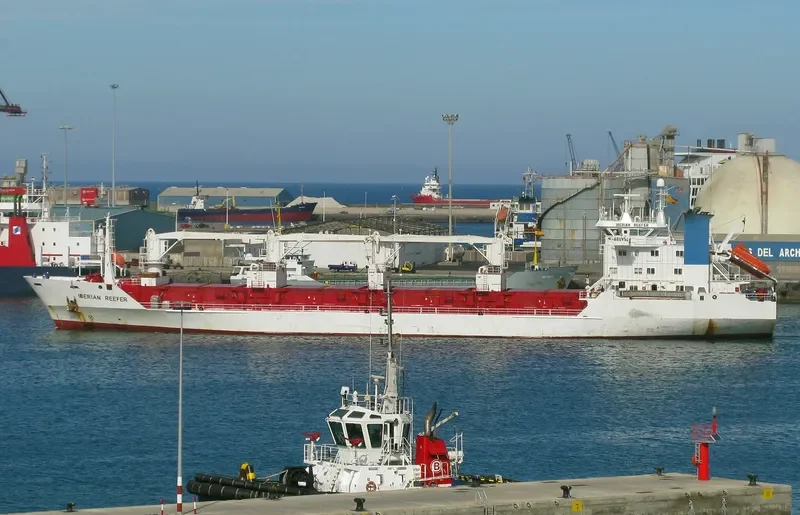ALAID General Cargo IMO 8819287 photo 3