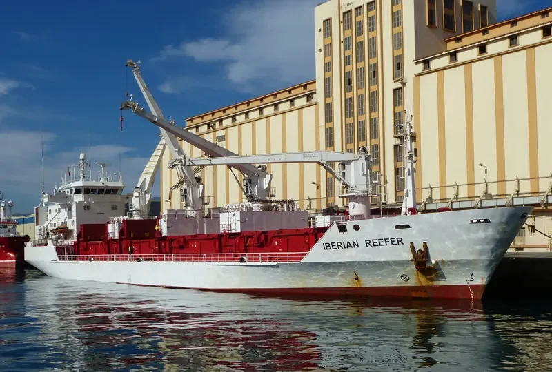 ALAID General Cargo IMO 8819287 photo 4