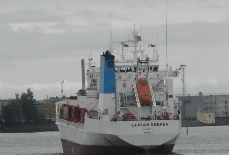 ALAID General Cargo IMO 8819287 photo 6