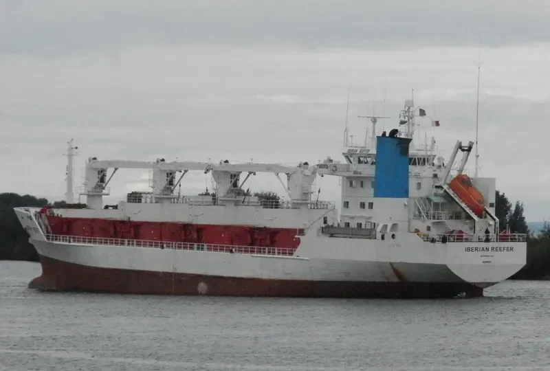 ALAID General Cargo IMO 8819287 photo 8