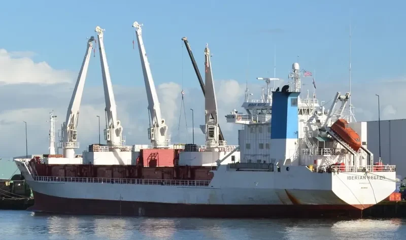 ALAID General Cargo IMO 8819287 photo 9
