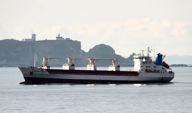 ALAID General Cargo IMO 8819287 photo 10