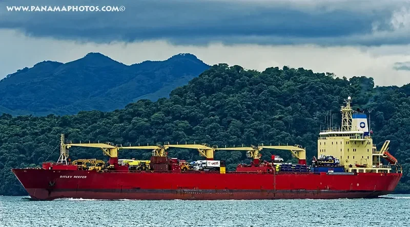 DITLEV REEFER General Cargo IMO 8819926 photo 10