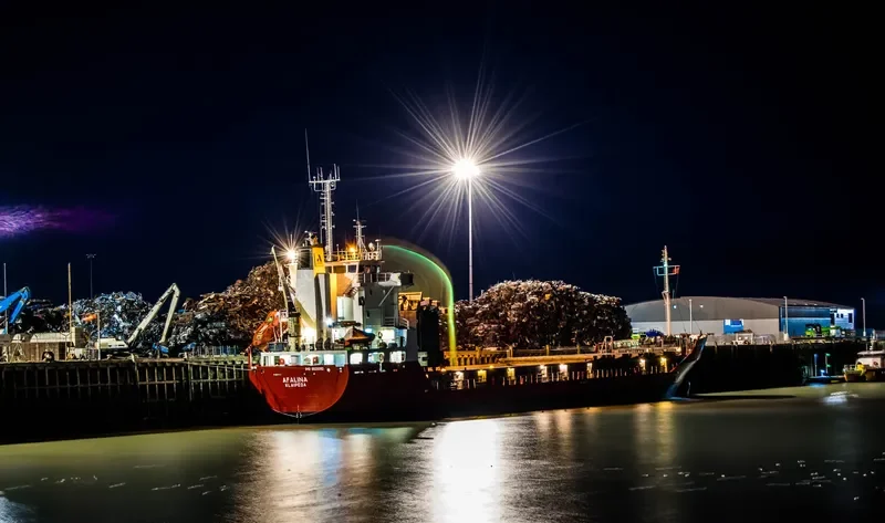 AFALINA General Cargo IMO 8820092
