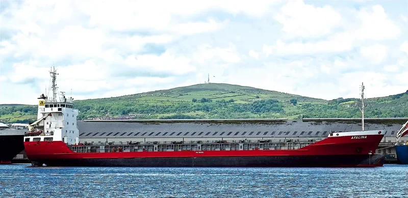 AFALINA General Cargo IMO 8820092 photo 3