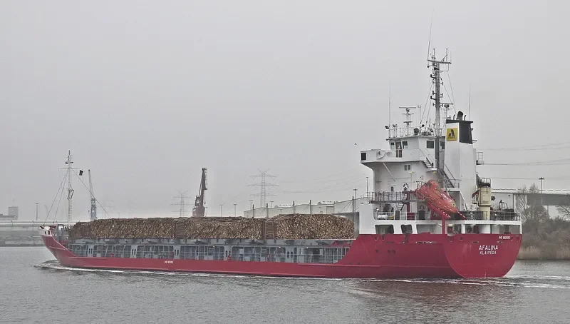 AFALINA General Cargo IMO 8820092 photo 4