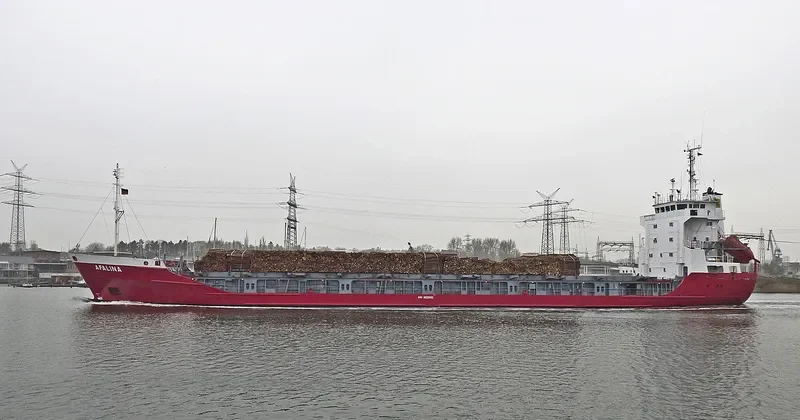 AFALINA General Cargo IMO 8820092 photo 5