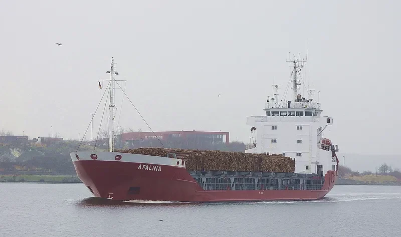 AFALINA General Cargo IMO 8820092 photo 6