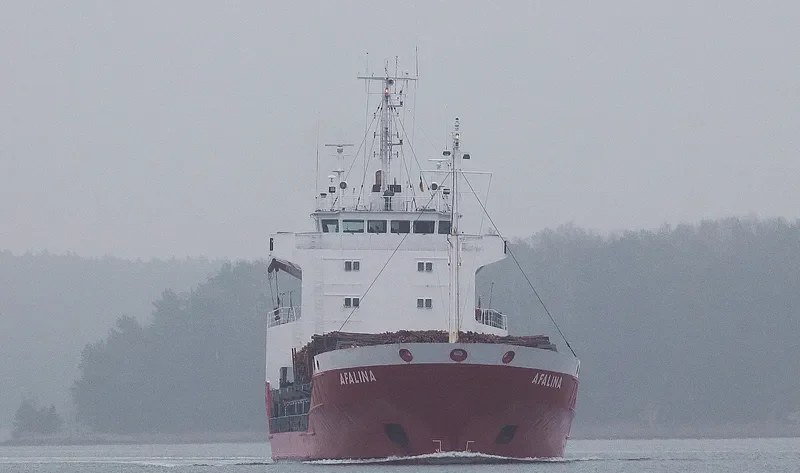 AFALINA General Cargo IMO 8820092 photo 7