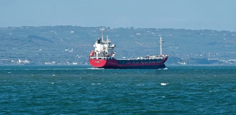 AFALINA General Cargo IMO 8820092 photo 8