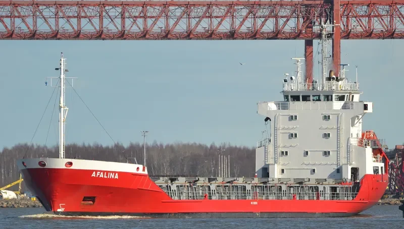 AFALINA General Cargo IMO 8820092 photo 9