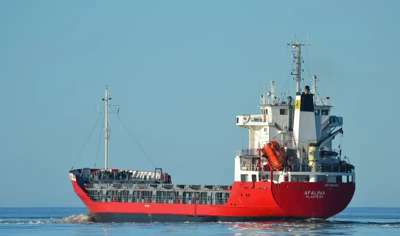 AFALINA General Cargo IMO 8820092 photo 10